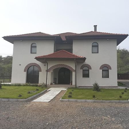 Pensiunea Casa Ungur Cetea Extérieur photo