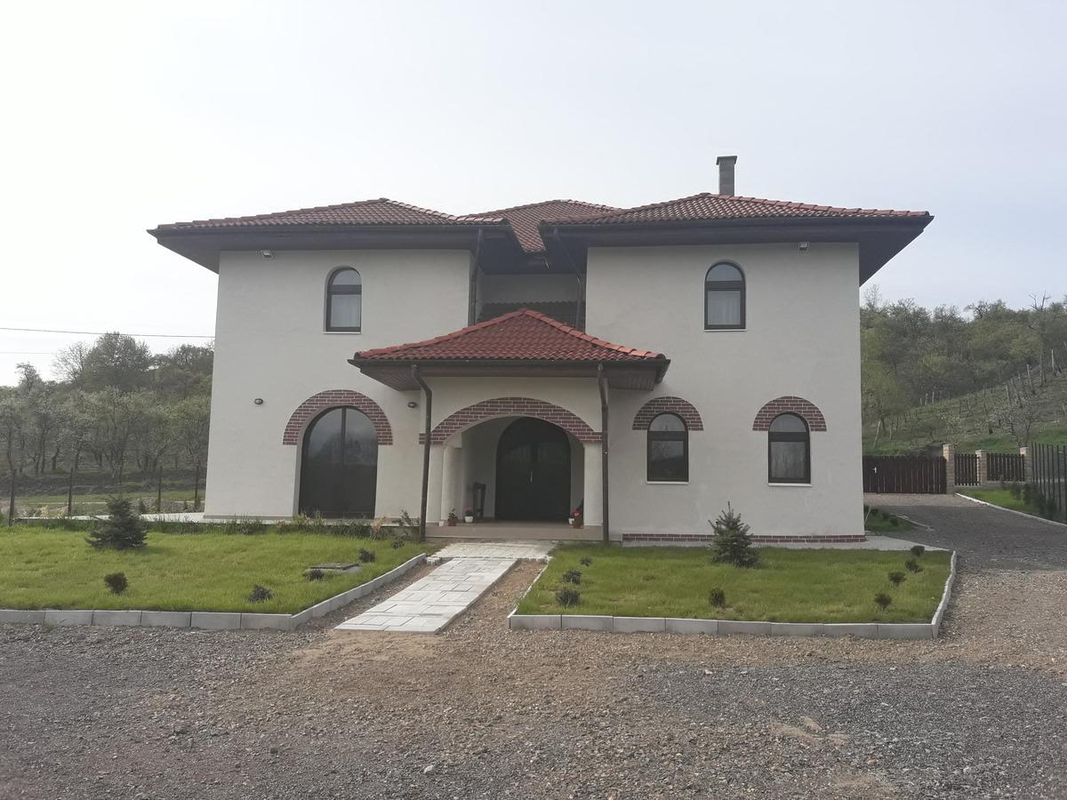 Pensiunea Casa Ungur Cetea Extérieur photo